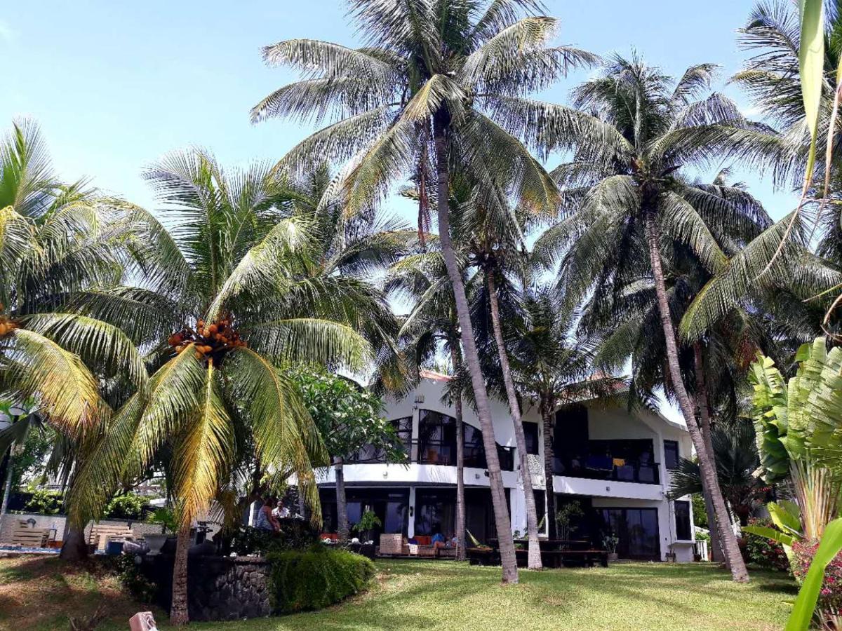 La Maison De La Plage - Guest House 알비언 외부 사진